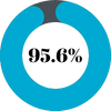 Graph showing average student pass mark of 95.6%